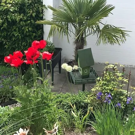 Privatwohnung Mit Terrasse Zum Relaxen Apartmán