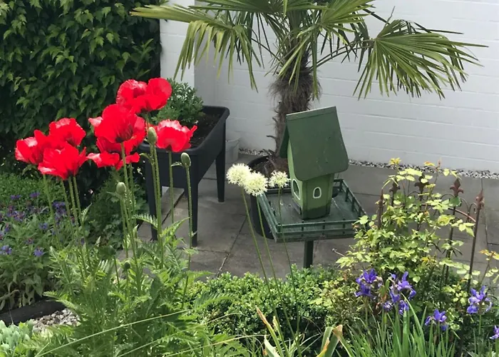 Privatwohnung Mit Terrasse Zum Relaxen